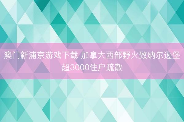 澳门新浦京游戏下载 加拿大西部野火致纳尔逊堡超3000住户疏散