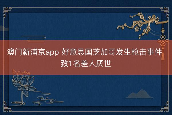 澳门新浦京app 好意思国芝加哥发生枪击事件 致1名差人厌世