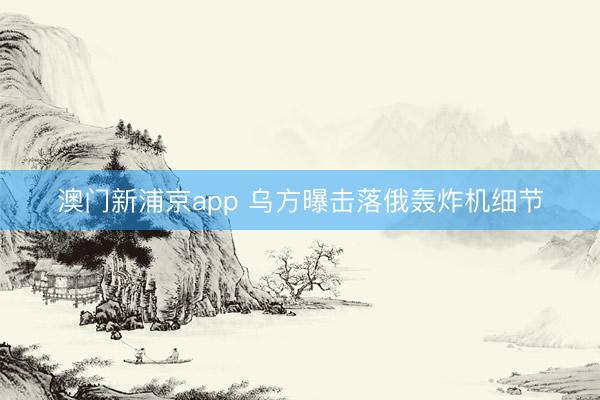 澳门新浦京app 乌方曝击落俄轰炸机细节
