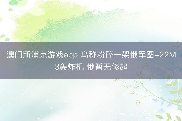澳门新浦京游戏app 乌称粉碎一架俄军图-22M3轰炸机 俄暂无修起