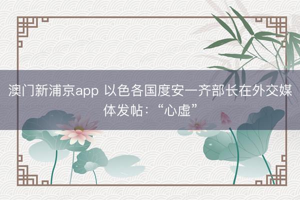澳门新浦京app 以色各国度安一齐部长在外交媒体发帖：“心虚”