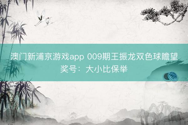 澳门新浦京游戏app 009期王振龙双色球瞻望奖号：大小比保举