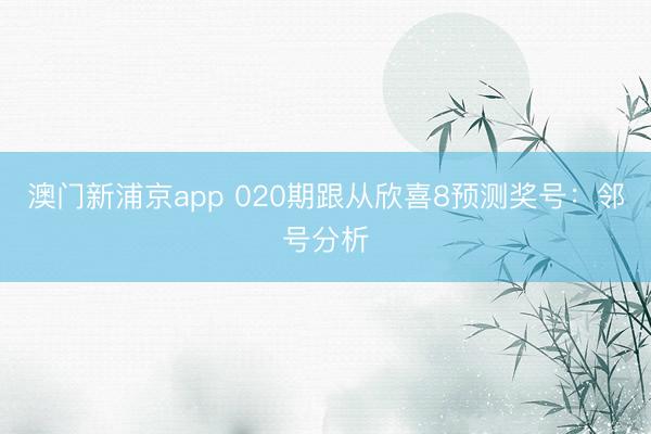 澳门新浦京app 020期跟从欣喜8预测奖号：邻号分析