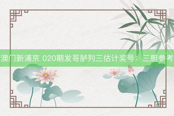 澳门新浦京 020期发哥胪列三估计奖号：三胆参考