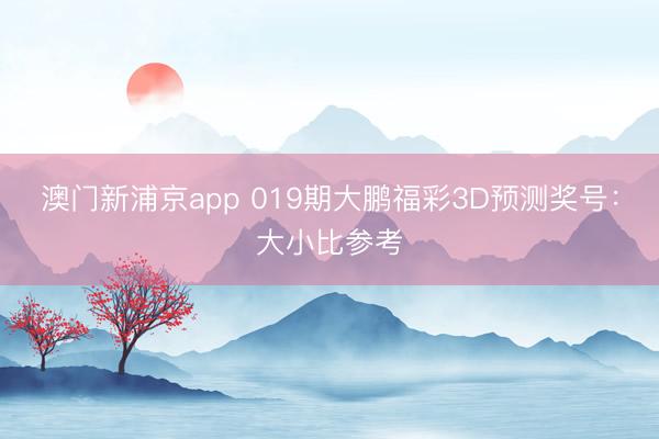 澳门新浦京app 019期大鹏福彩3D预测奖号：大小比参考