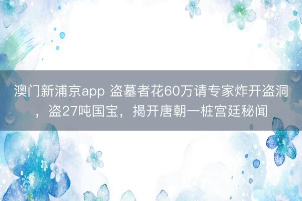 澳门新浦京app 盗墓者花60万请专家炸开盗洞，盗27吨国宝，揭开唐朝一桩宫廷秘闻