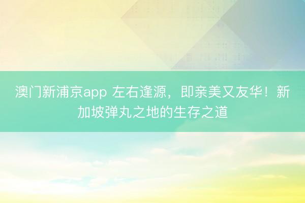 澳门新浦京app 左右逢源，即亲美又友华！新加坡弹丸之地的生存之道