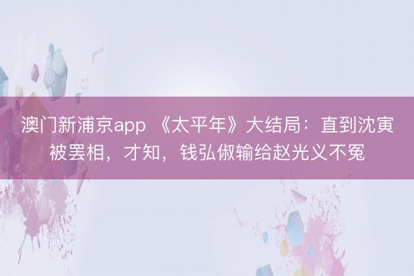 澳门新浦京app 《太平年》大结局:直到沈寅被罢相,才知,钱弘俶输给赵光义不冤