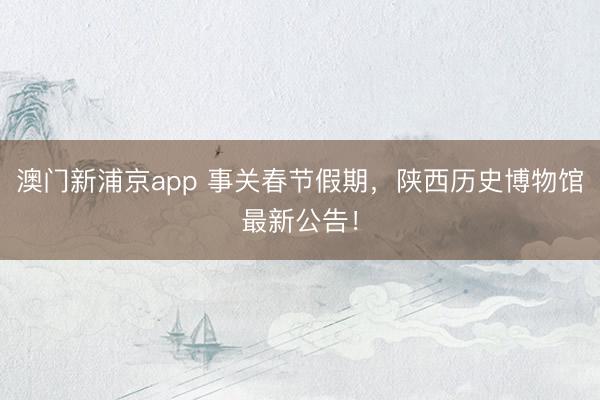 澳门新浦京app 事关春节假期,陕西历史博物馆最新公告!