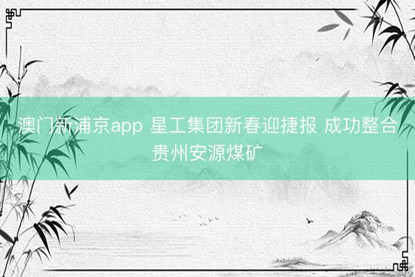 澳门新浦京app 星工集团新春迎捷报 成功整合贵州安源煤矿