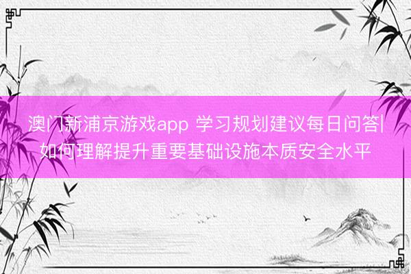 澳门新浦京游戏app 学习规划建议每日问答|如何理解提升重要基础设施本质安全水平