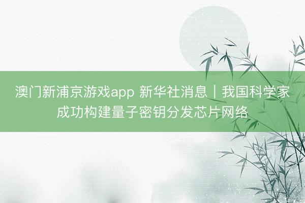 澳门新浦京游戏app 新华社消息｜我国科学家成功构建量子密钥分发芯片网络