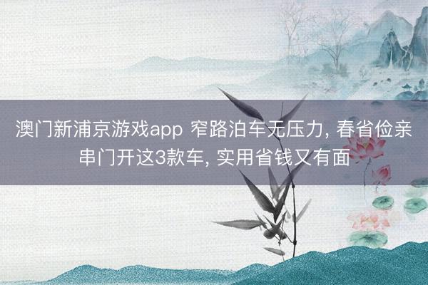澳门新浦京游戏app 窄路泊车无压力， 春省俭亲串门开这3款车， 实用省钱又有面