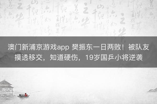 澳门新浦京游戏app 樊振东一日两败！被队友摸透移交，知道硬伤，<a href=