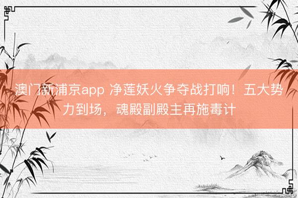 澳门新浦京app 净莲妖火争夺战打响！五大势力到场，魂殿副殿主再施毒计