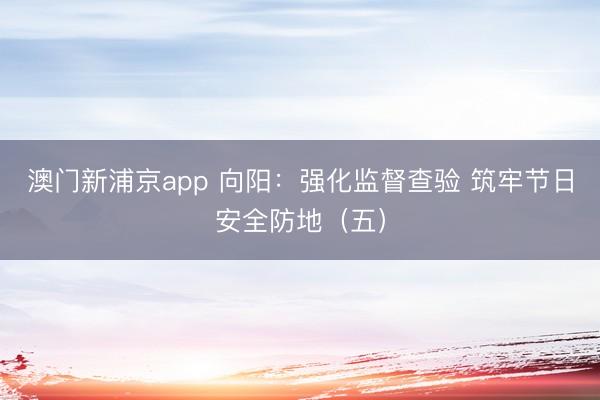 澳门新浦京app 向阳:强化监督查验 筑牢节日安全防地(五)