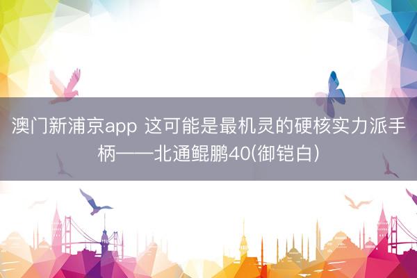 澳门新浦京app 这可能是最机灵的硬核实力派手柄——北通鲲鹏40(御铠白)