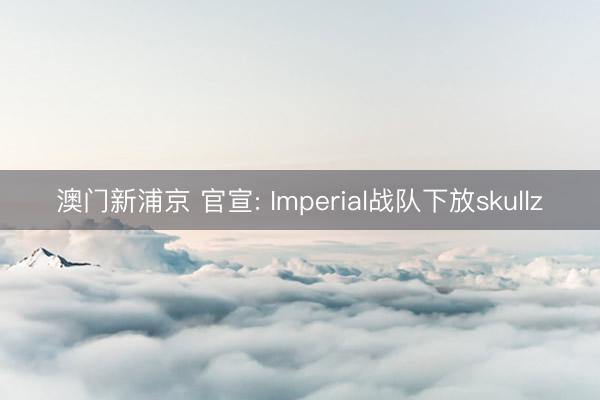 澳门新浦京 官宣: Imperial战队下放skullz