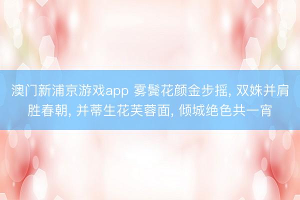 澳门新浦京游戏app 雾鬓花颜金步摇， 双姝并肩胜春朝， 并蒂生花芙蓉面， 倾城绝色共一宵