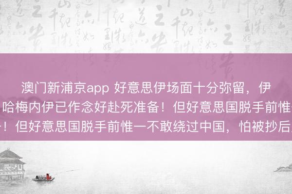 澳门新浦京app 好意思伊场面十分弥留，伊朗开动极点驻守预案，哈梅内伊已作念好赴死准备！但好意思国脱手前惟一不敢绕过中国，怕被抄后路
