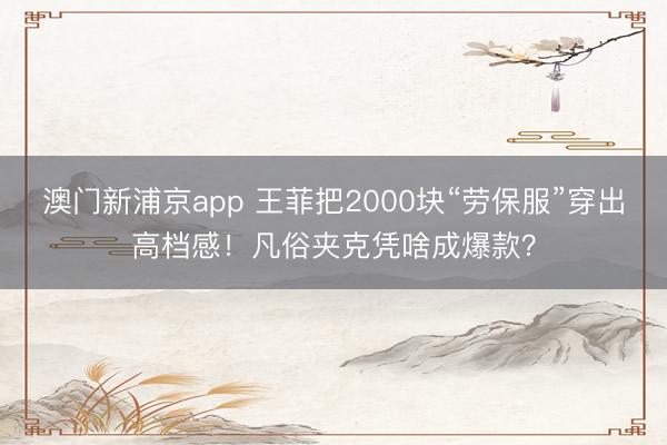澳门新浦京app 王菲把2000块“劳保服”穿出高档感！凡俗夹克凭啥成爆款？