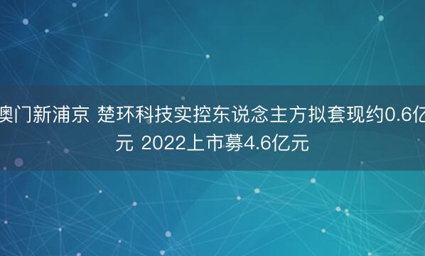 澳门新浦京 楚环科技实控东说念主方拟套现约0.6亿元 2022上市募4.6亿元