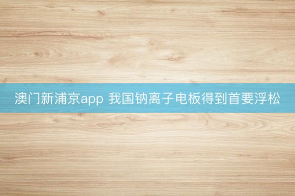 澳门新浦京app 我国钠离子电板得到首要浮松