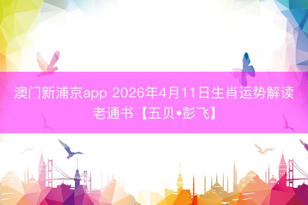 澳门新浦京app 2026年4月11日生肖运势解读老通书【五贝•彭飞】