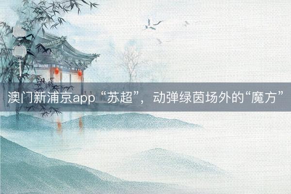 澳门新浦京app “苏超”,动弹绿茵场外的“魔方”