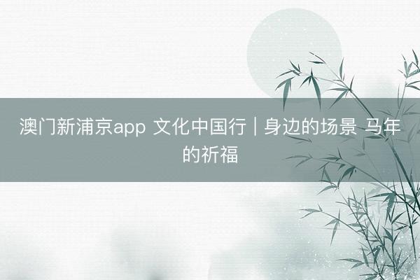 澳门新浦京app 文化中国行 | 身边的场景 马年的祈福