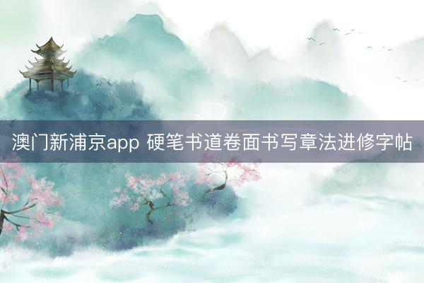 澳门新浦京app 硬笔书道卷面书写章法进修字帖