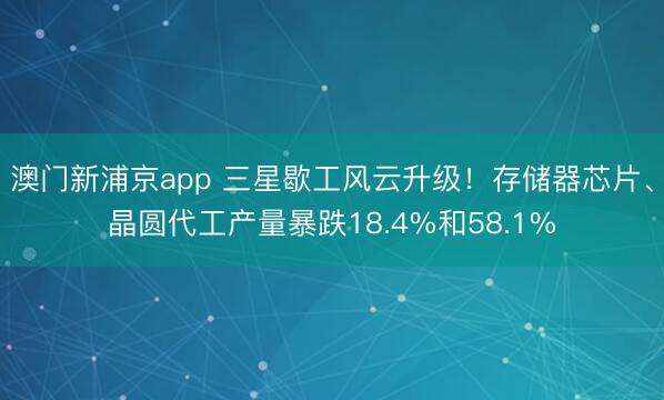 澳门新浦京app 三星歇工风云升级！存储器芯片、晶圆代工产量暴跌18.4%和58.1%