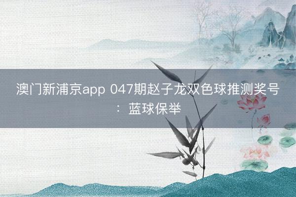 澳门新浦京app 047期赵子龙双色球推测奖号：蓝球保举