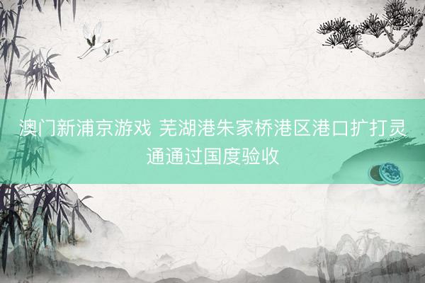 澳门新浦京游戏 芜湖港朱家桥港区港口扩打灵通通过国度验收