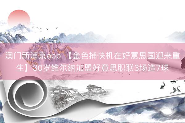 澳门新浦京app 【金色捕快机在好意思国迎来重生】30岁维尔纳加盟好意思职联3场造7球