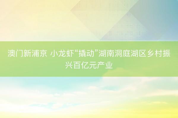 澳门新浦京 小龙虾“撬动”湖南洞庭湖区乡村振兴百亿元产业