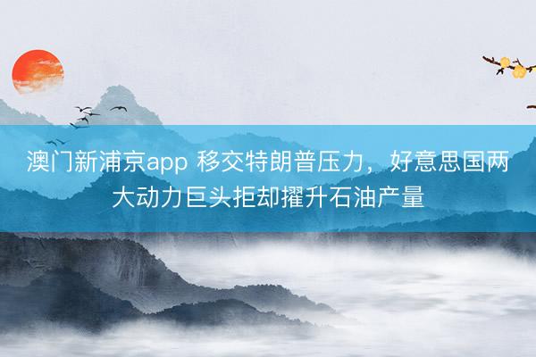澳门新浦京app 移交特朗普压力，好意思国两大动力巨头拒却擢升石油产量