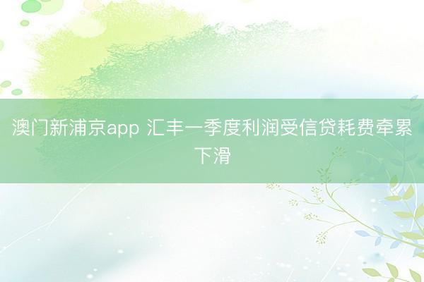 澳门新浦京app 汇丰一季度利润受信贷耗费牵累下滑
