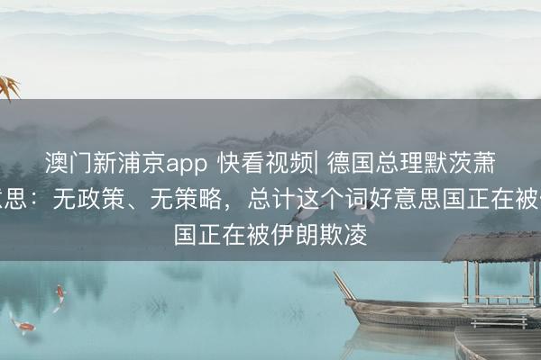 澳门新浦京app 快看视频| 德国总理默茨萧疏批好意思：无政策、无策略，<a href=